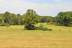 PR Miletinska bazantnice